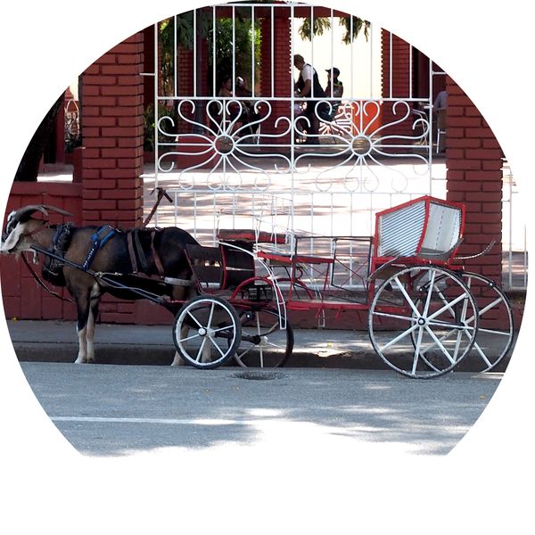in a square, Bayamo • Cuba